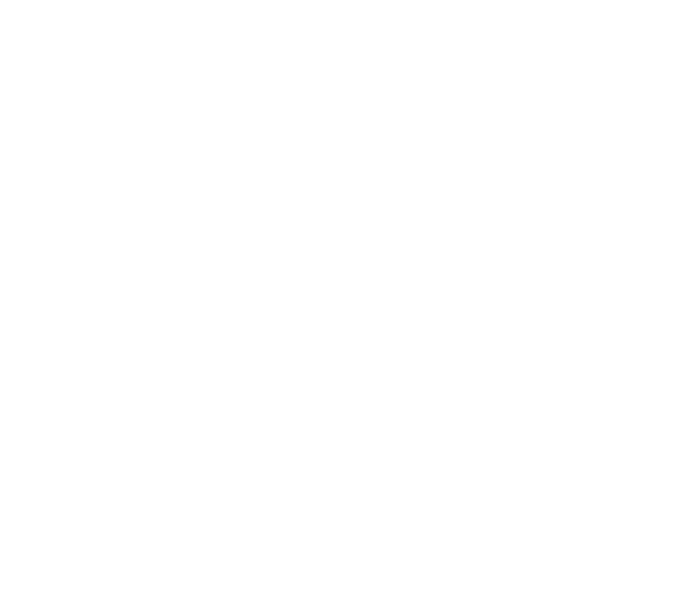 The v logo on a green background.